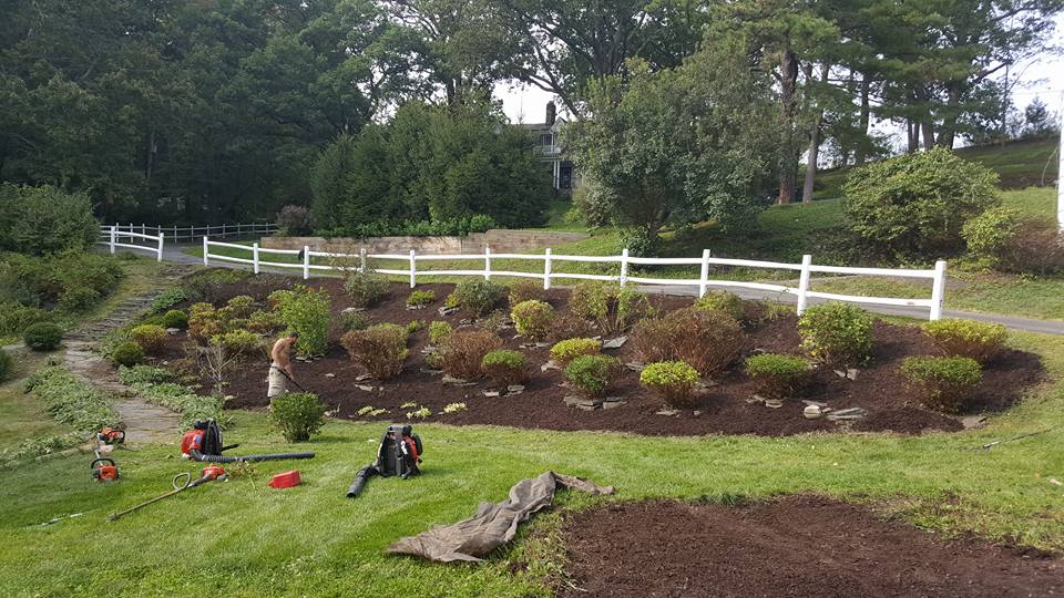 Landscape design project