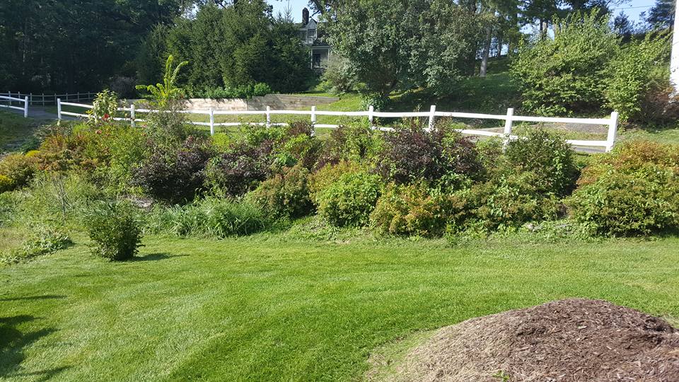 Well-maintained green lawn with professional mowing stripes